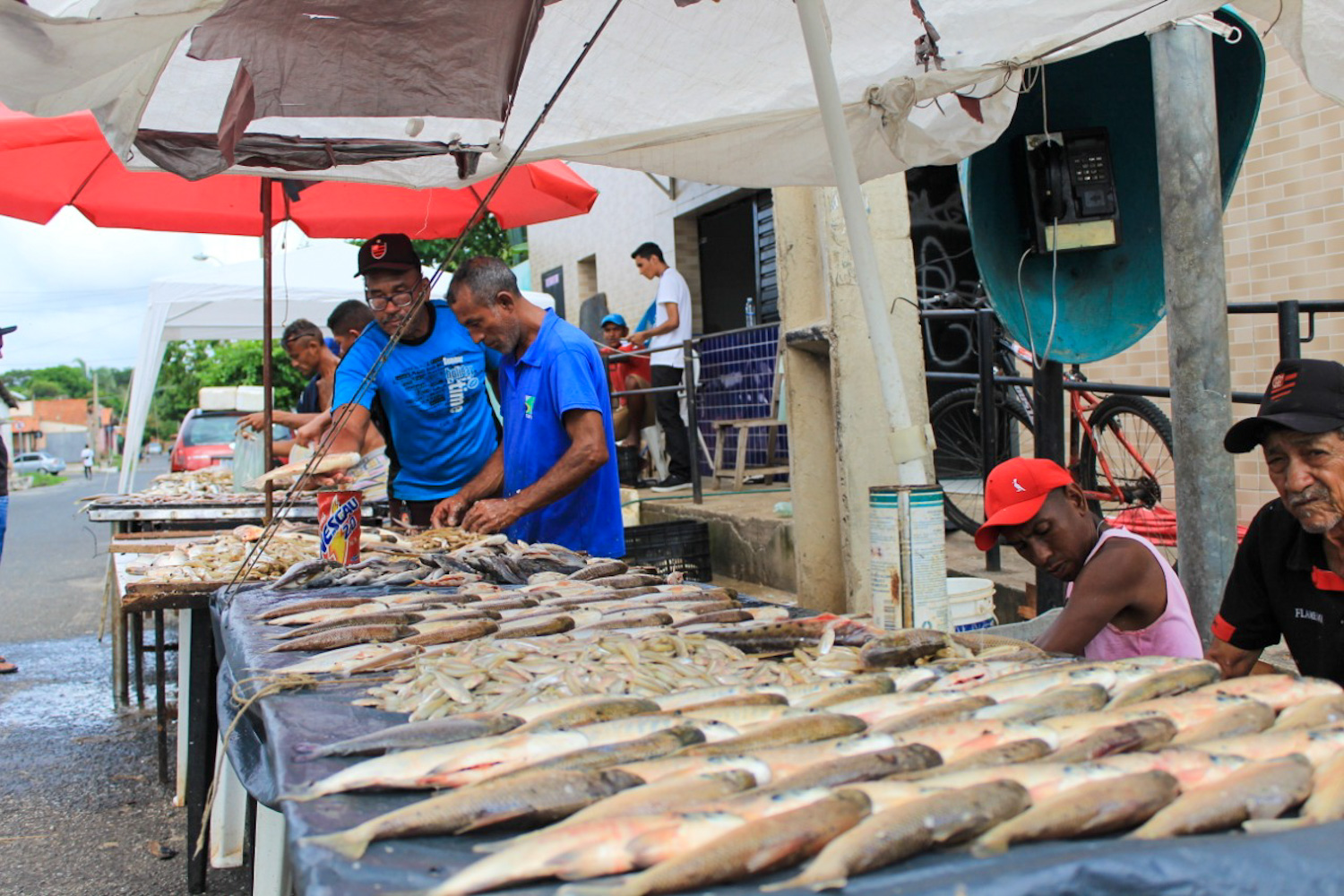 Mercado Do Peixe