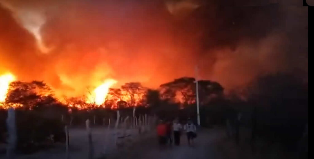 Incêndio em Monsenhor Hipólito já dura mais de 12 horas