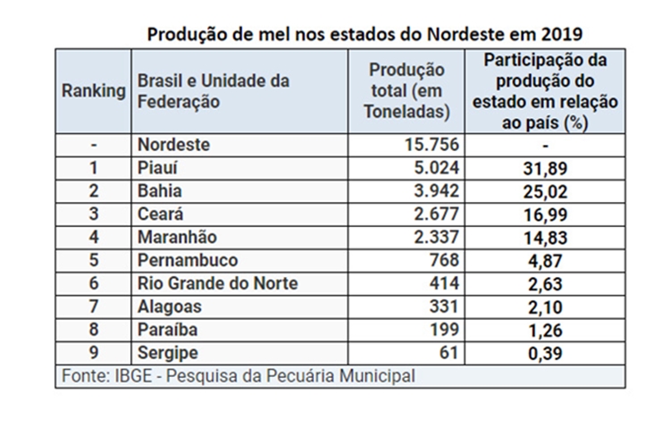 Piauí é novamente o maior produtor de mel do Nordeste