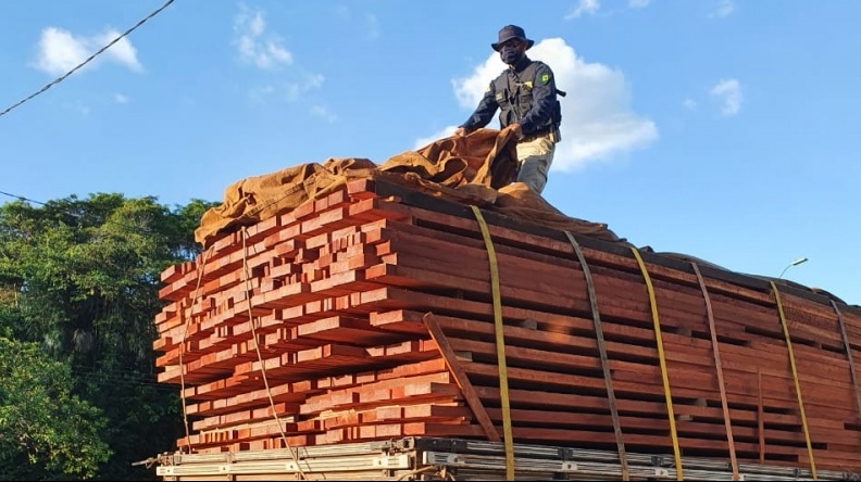 PRF apreende carregamento com 18m³ de madeira ilegal em Teresina