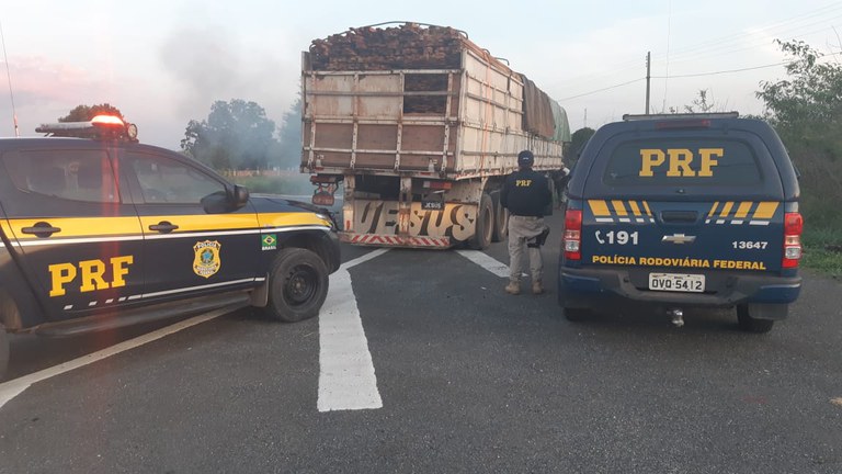 A carga de madeira ilegal foi avaliada em R$ 14.888 mil