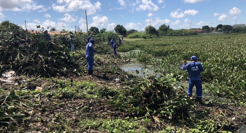 A limpeza da lagoa do Mocambinho iniciou no dia12 de maio.