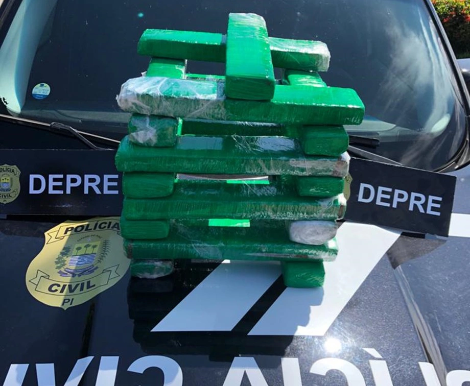 Tabletes de maconha apreendidos pela Polícia Civil