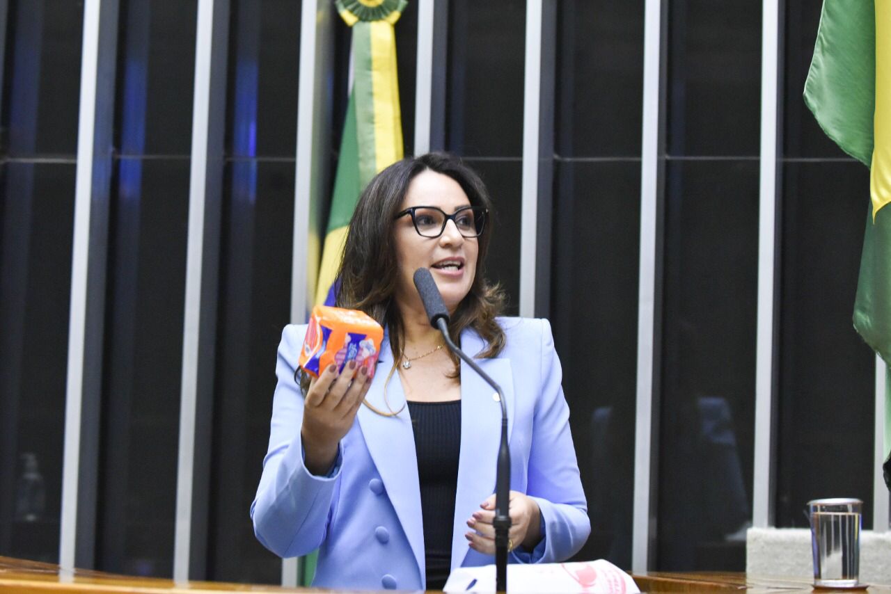 Deputada Federal Rejane Dias.