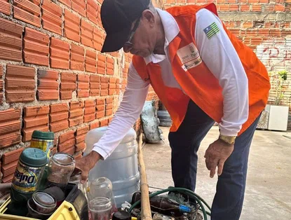 Ações de enfrentamento do mosquito Aedes aegypti