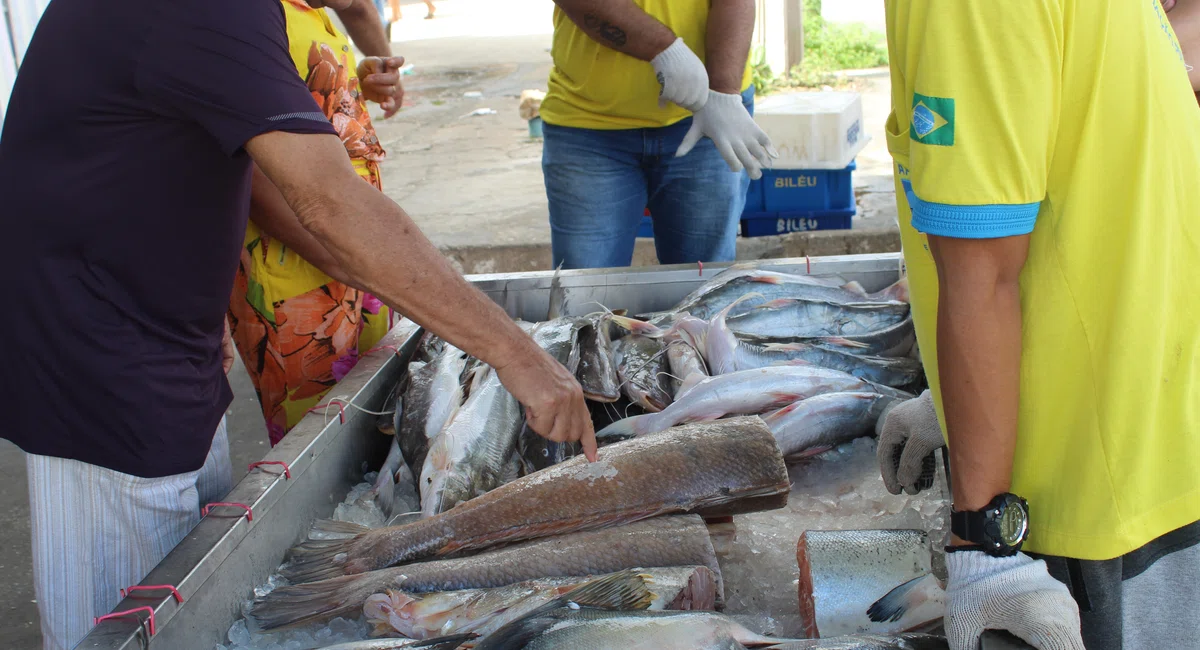 Mercado do Peixe de Teresina