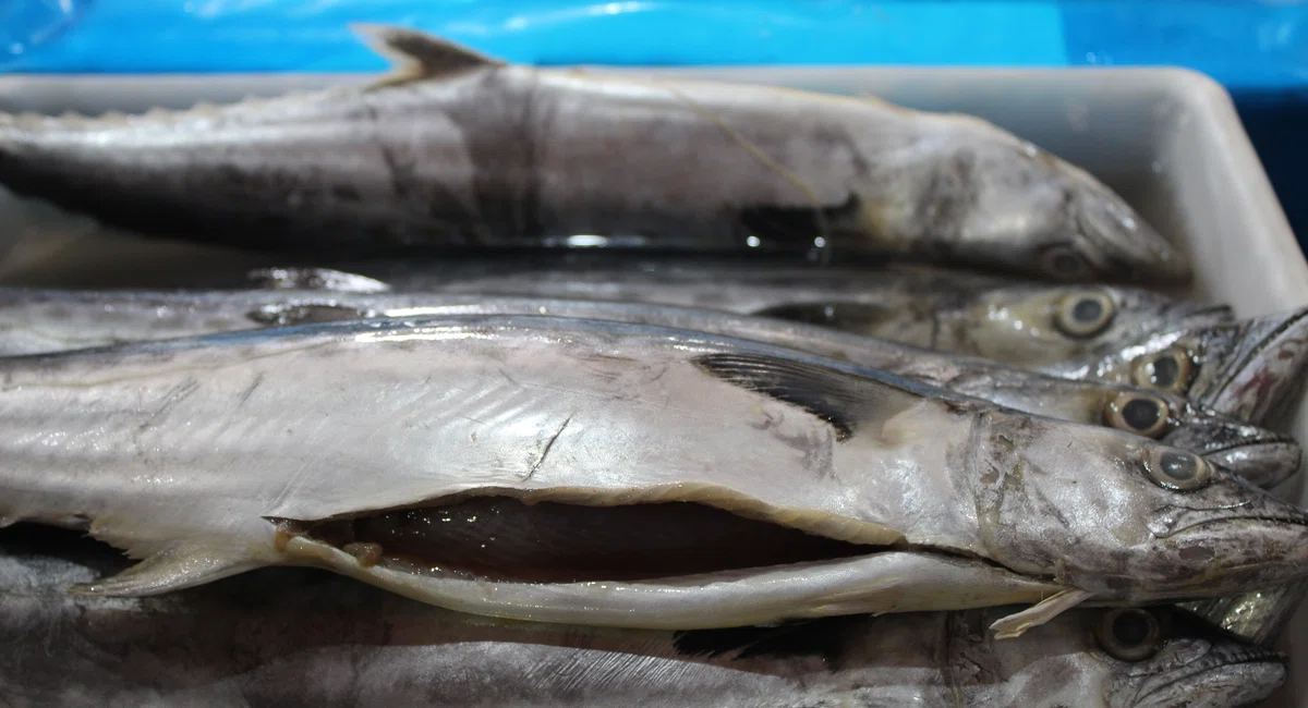 Mercado do Peixe de Teresina