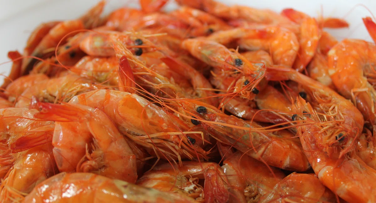 Mercado do Peixe de Teresina