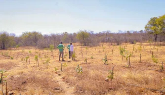 Semarh alerta para calor extremos e redução de chuvas com El Niño no Piauí