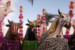 Dia do Bumba Meu Boi: tradição piauiense celebra festas folclóricas