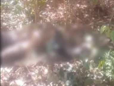 Corpo em avançado estado de decomposição é encontrado em matagal na zona Sul de Teresina