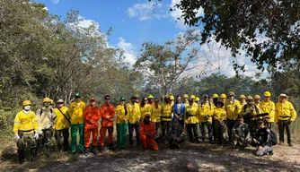 Coordenadora do Caoma/MPPI participa de atividade sobre queima prescrita no Parque Nacional de Sete Cidade